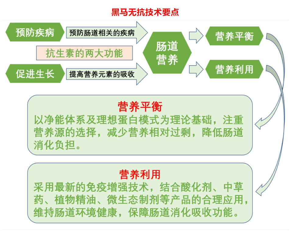 無抗新技術(shù)，..
