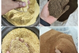 飼料原料驗(yàn)收的“望、聞、問(wèn)、切”