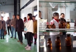 農業部委派專家組蒞臨我司檢查指導工作